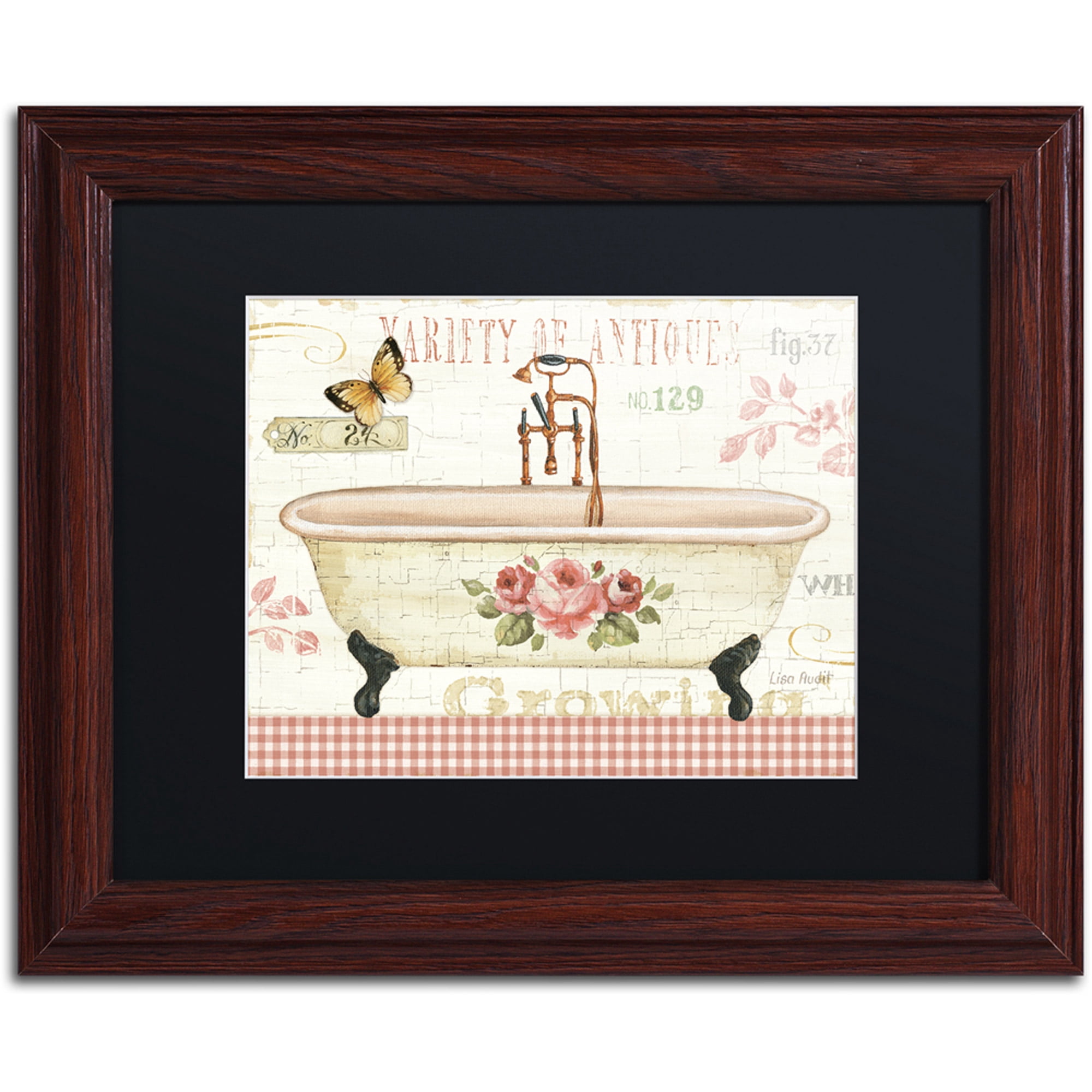Trademark Fine Art "Rose Garden III no Border" Canvas Art by Lisa Audit, Black Matte, Wood Frame