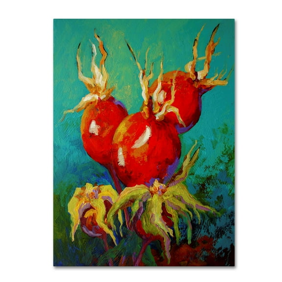 Trademark Fine Art 'Rose Hips' Canvas Art by Marion Rose