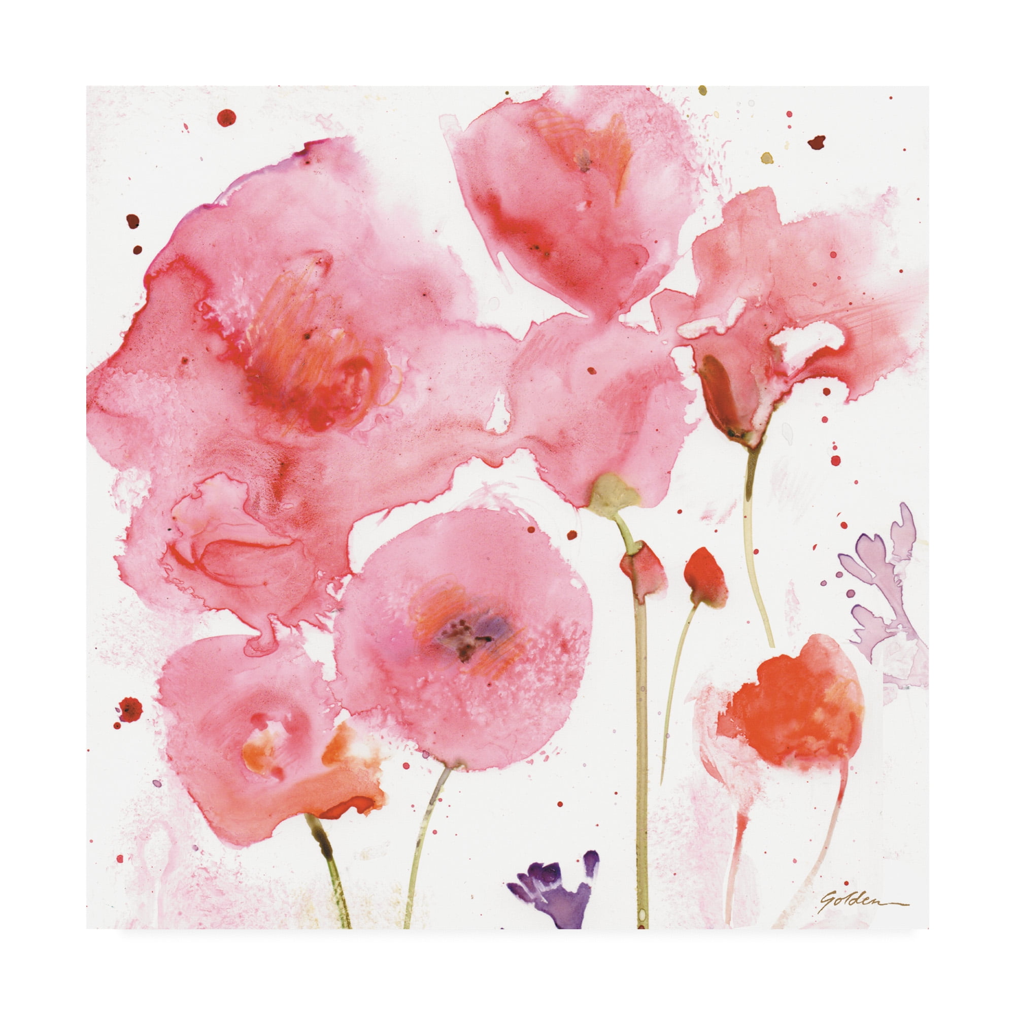 Trademark Fine Art 'Rose- Pink Parade' Canvas Art by Sheila Golden
