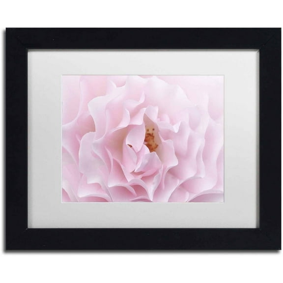 Trademark Fine Art 'Rose Pink Rose' Canvas Art by Cora Niele, White Matte, Black Frame