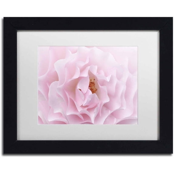 Trademark Fine Art 'Rose Pink Rose' Canvas Art by Cora Niele, White Matte, Black Frame