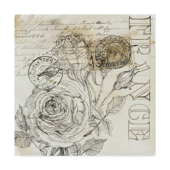 Trademark Fine Art 'Rose Romance III' Canvas Art by Jennifer Paxton Parker