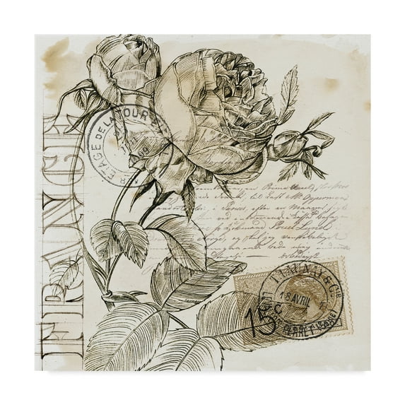 Trademark Fine Art 'Rose Romance IV' Canvas Art by Jennifer Paxton Parker