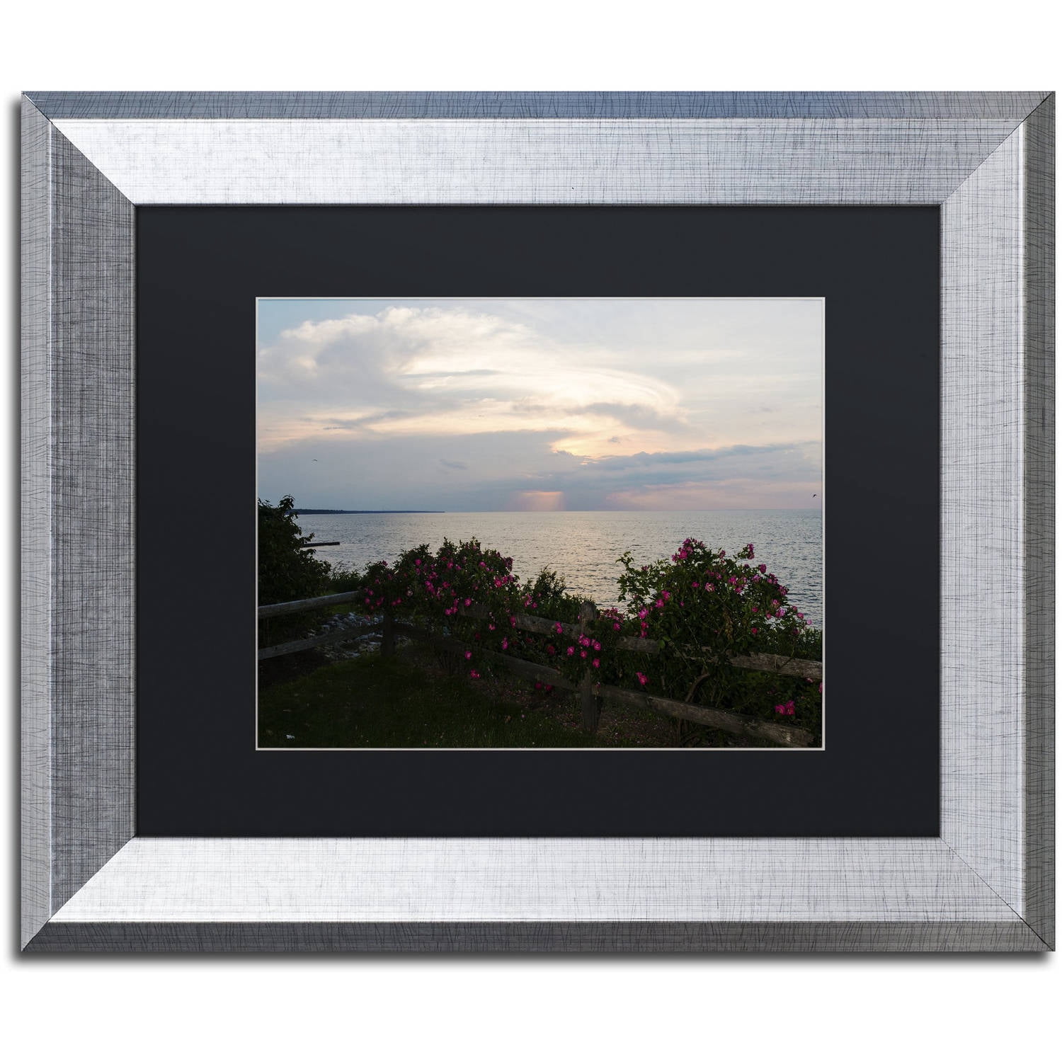 Trademark Fine Art "Roses in Bloom Along the Lake" Canvas Art by Kurt Shaffer, Black Matte, Silver Frame