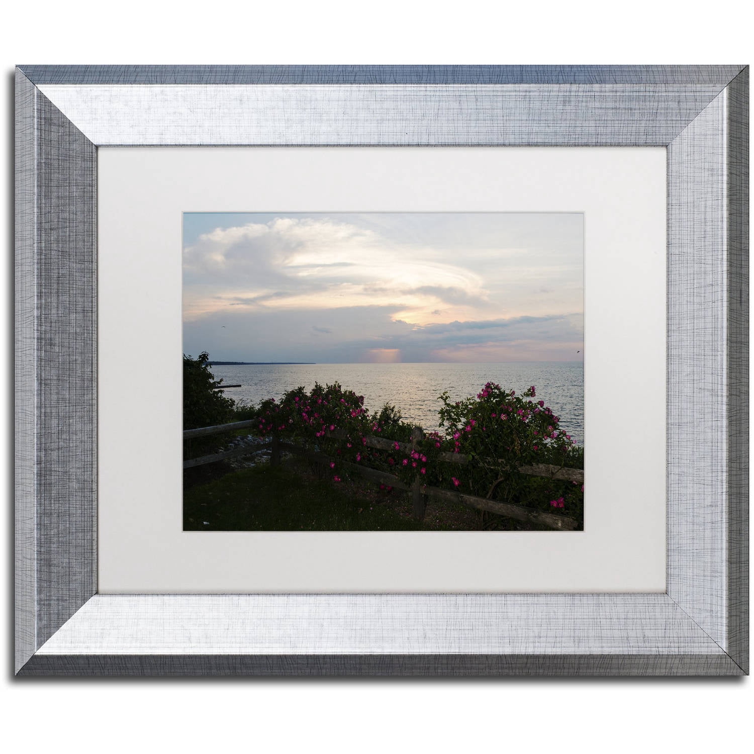Trademark Fine Art "Roses in Bloom Along the Lake" Canvas Art by Kurt Shaffer, White Matte, Silver Frame