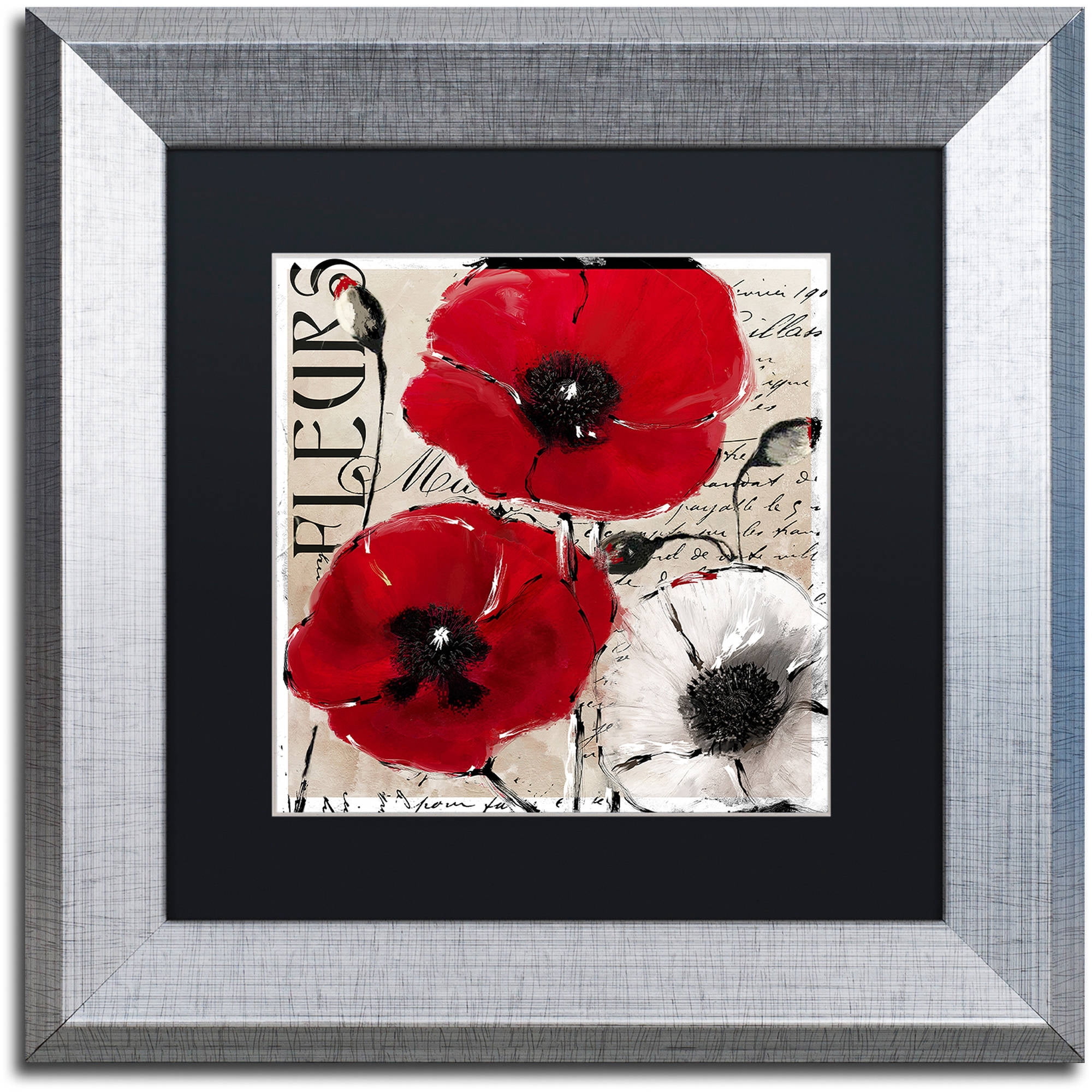 Trademark Fine Art "Rouge One" Canvas Art by Color Bakery Black Matte, Silver Frame