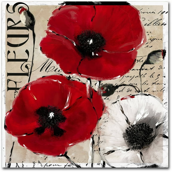 Trademark Fine Art "Rouge One" Canvas Art by Color Bakery