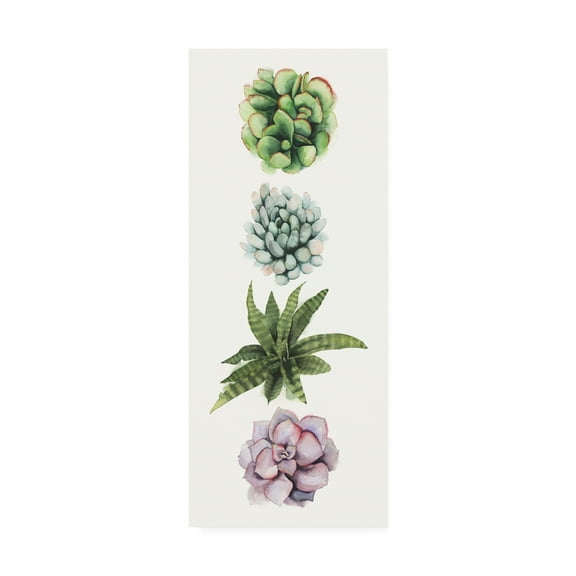 Trademark Fine Art 'Row of Succulents II' Canvas Art by Grace Popp