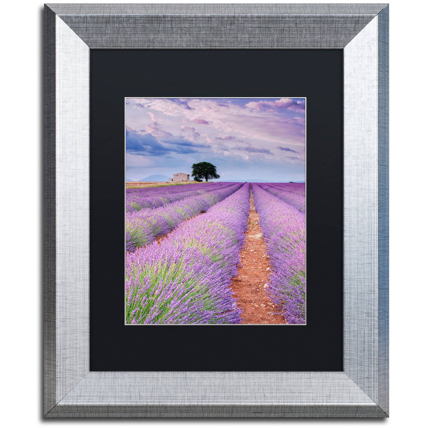 Trademark Fine Art "Rows Of Lavender" Canvas Art by Michael Blanchette Photography Black Matte, Silver Frame