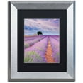 thumbnail image 1 of Trademark Fine Art "Rows Of Lavender" Canvas Art by Michael Blanchette Photography Black Matte, Silver Frame, 1 of 1