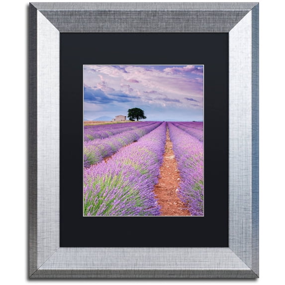Trademark Fine Art "Rows Of Lavender" Canvas Art by Michael Blanchette Photography Black Matte, Silver Frame