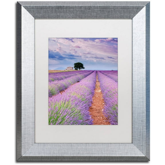 Trademark Fine Art "Rows Of Lavender" Canvas Art by Michael Blanchette Photography White Matte, Silver Frame