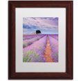 thumbnail image 1 of Trademark Fine Art "Rows Of Lavender" Canvas Art by Michael Blanchette Photography White Matte, Wood Frame, 1 of 4