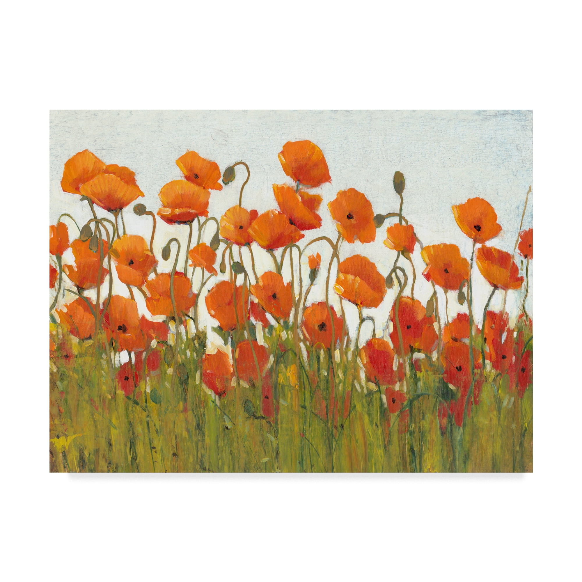 Trademark Fine Art 'Rows of Poppies II' Canvas Art by Tim OToole