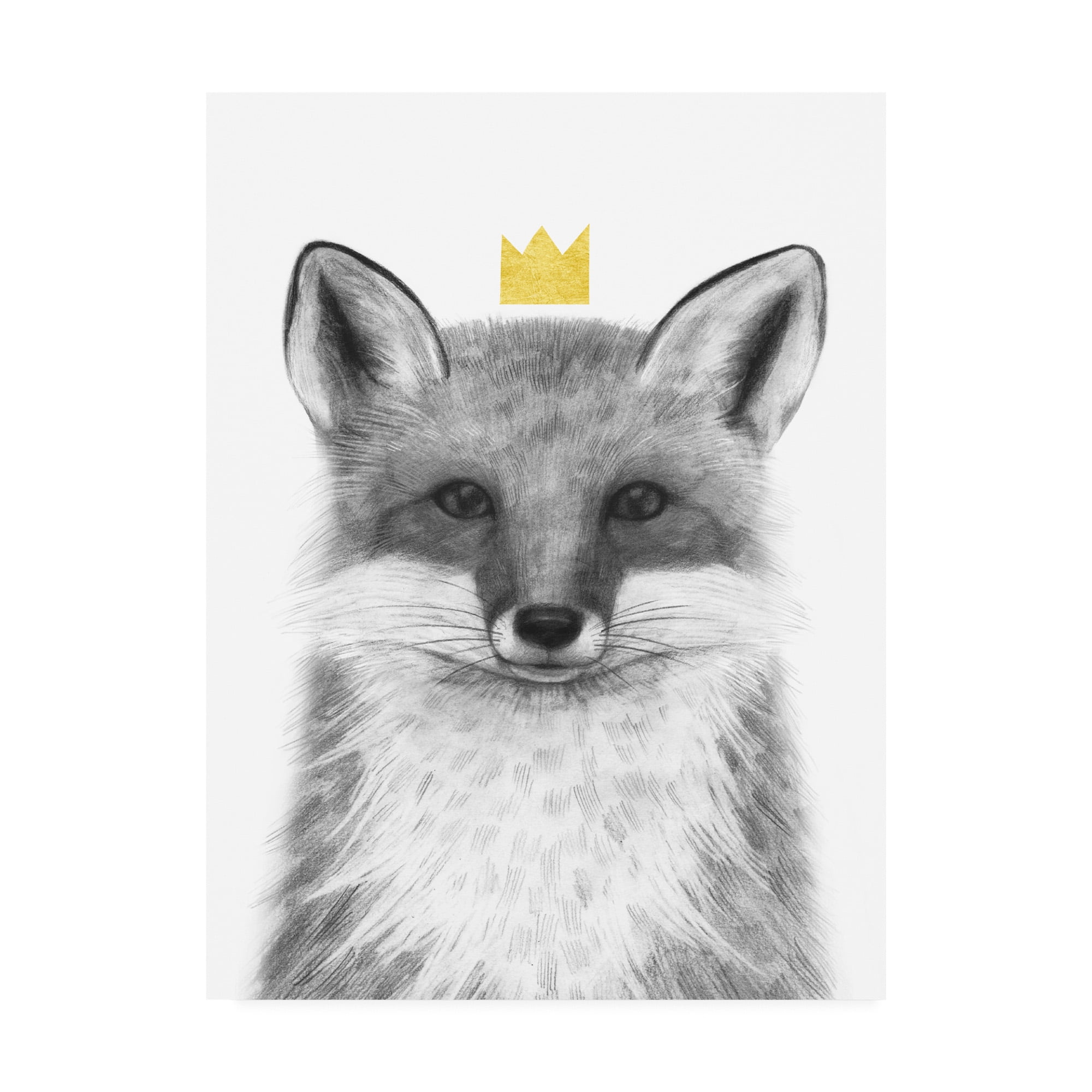 Gray Fox with Golden Crown Gallery-Wrapped Canvas Art
