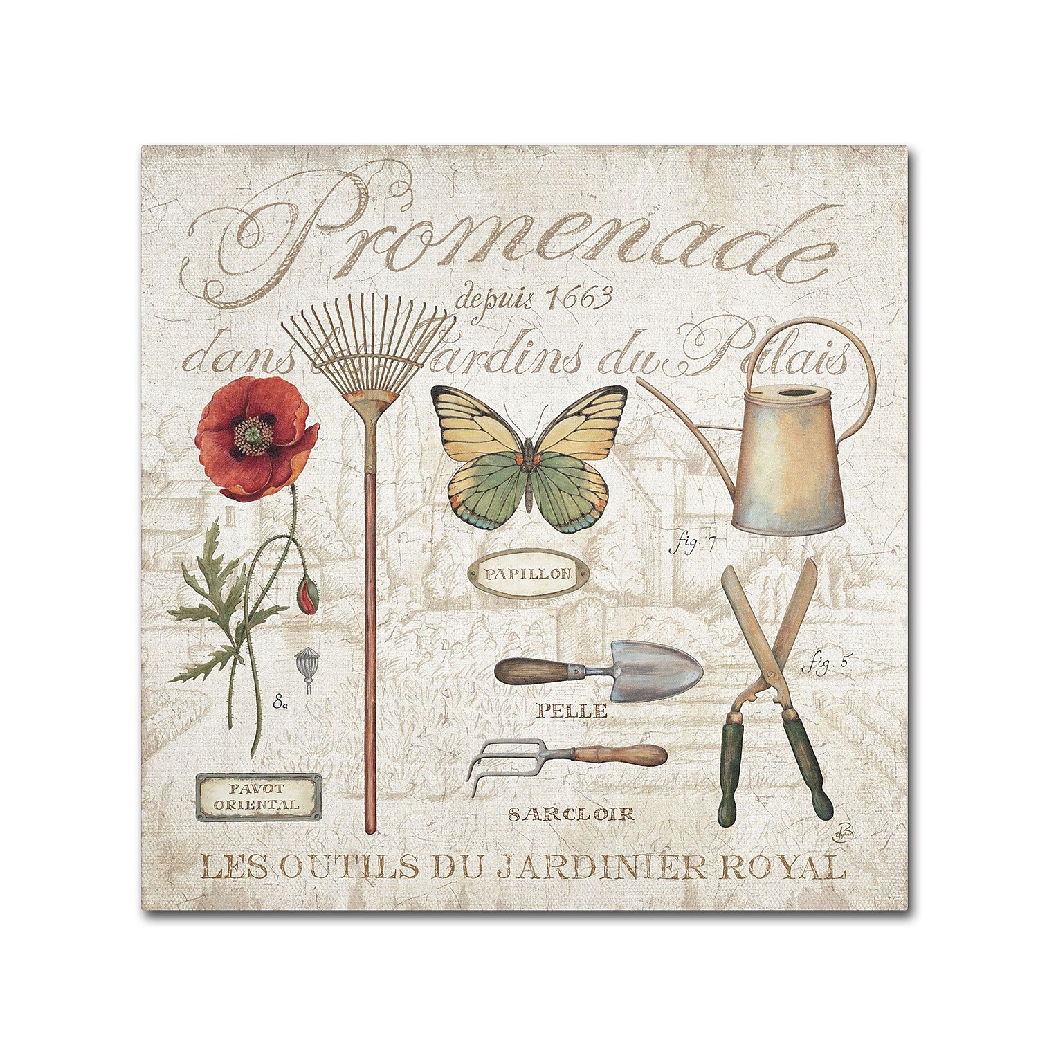 Trademark Fine Art "Royal Garden II" Canvas Art by Daphne Brissonnet
