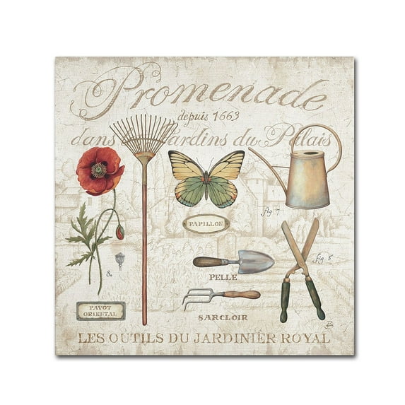 Trademark Fine Art "Royal Garden II" Canvas Art by Daphne Brissonnet