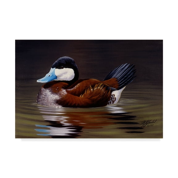 Trademark Fine Art 'Ruddy Duck' Canvas Art by Wilhelm Goebel
