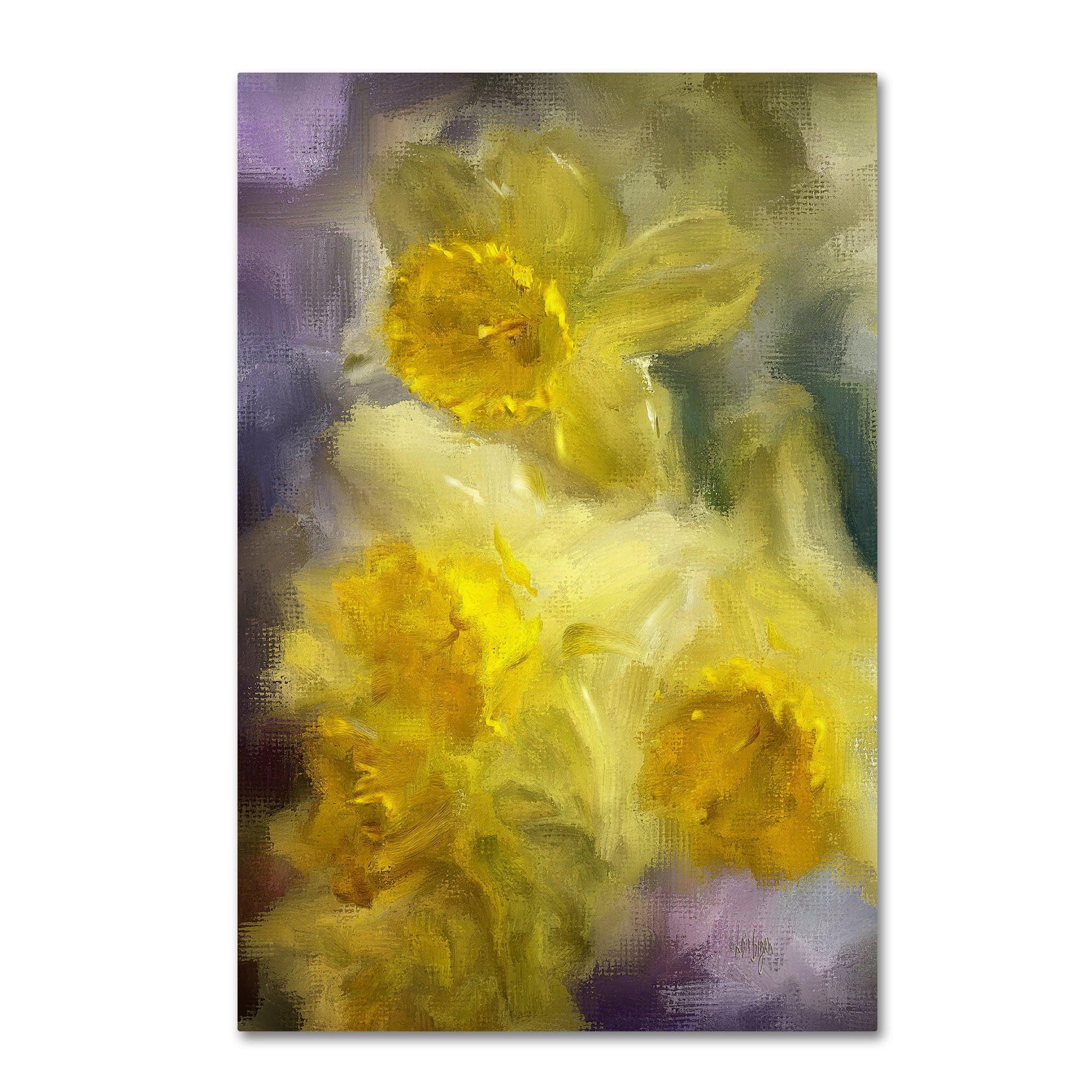 Trademark Fine Art "Ruffled Daffodils" Canvas Art by Lois Bryan