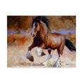 thumbnail image 1 of Trademark Fine Art 'Rumis Run' Canvas Art by Carolyne Hawley, 1 of 1
