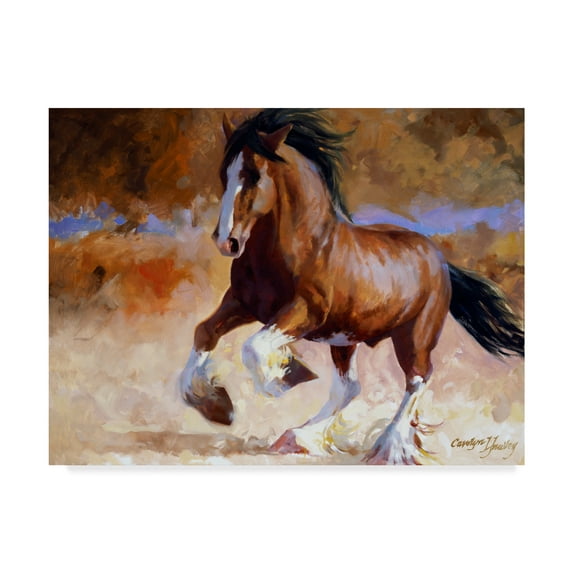 Trademark Fine Art 'Rumis Run' Canvas Art by Carolyne Hawley