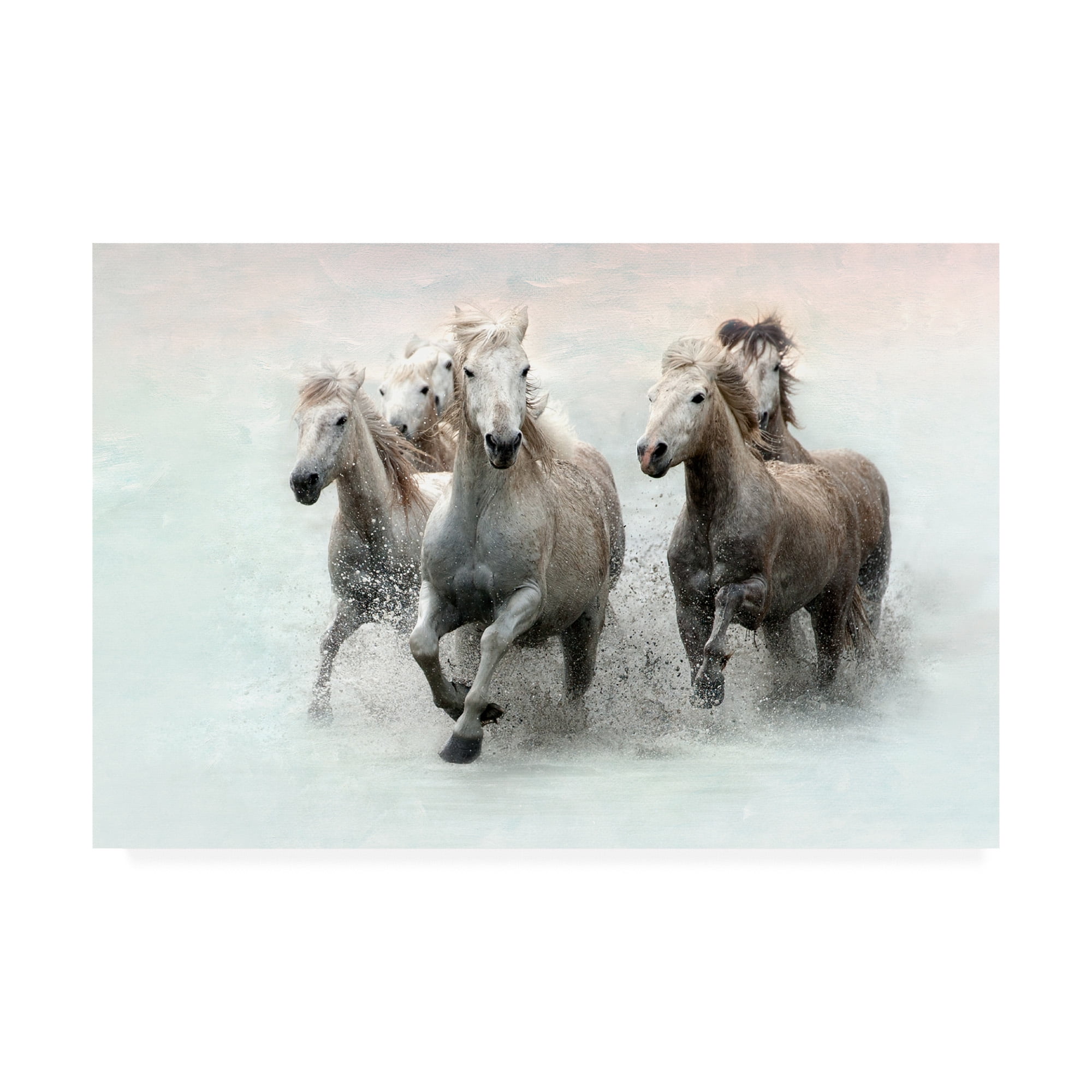 Trademark Fine Art 'Run and Splash' Canvas Art by Merrie Asimo