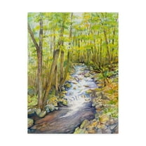 Trademark Fine Art 'Running Brook' Canvas Art by Joanne Porter