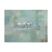 Trademark Fine Art 'Running Wild' Canvas Art by James Wiens