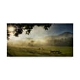thumbnail image 1 of Trademark Fine Art 'Running in the Mist' Canvas Art by Danny Head, 1 of 4
