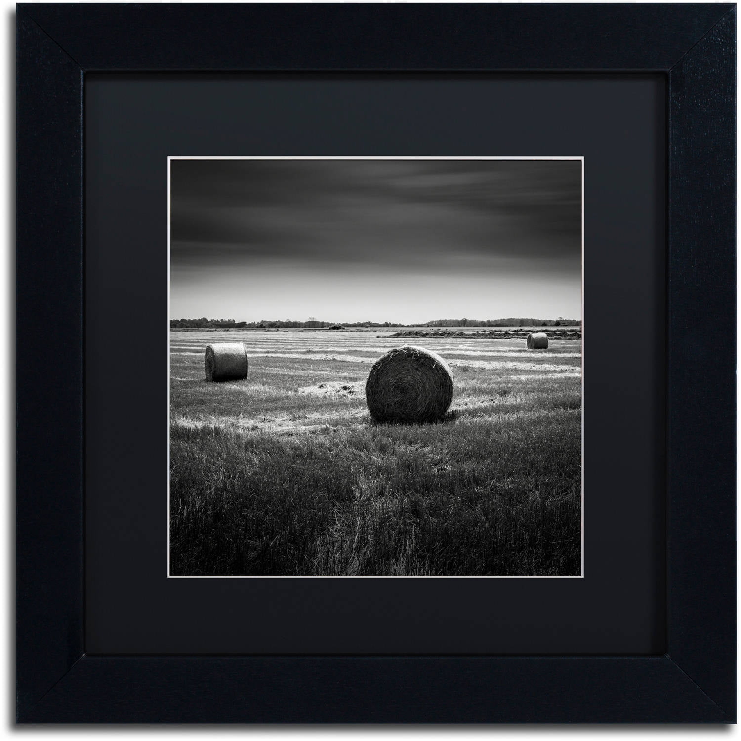 Trademark Fine Art "Rural" Canvas Art by Dave MacVicar, Black Matte, Black Frame