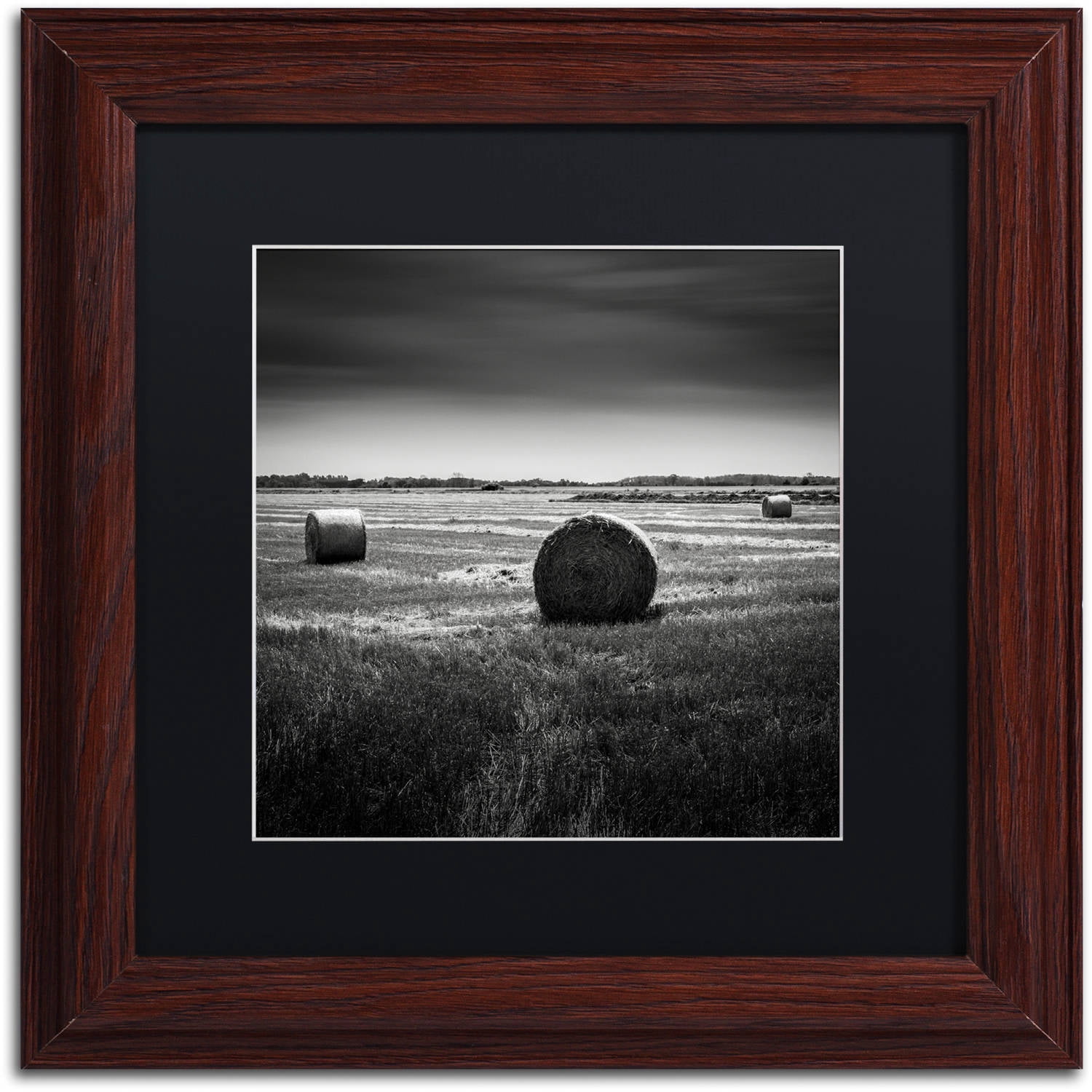 Trademark Fine Art "Rural" Canvas Art by Dave MacVicar, Black Matte, Wood Frame