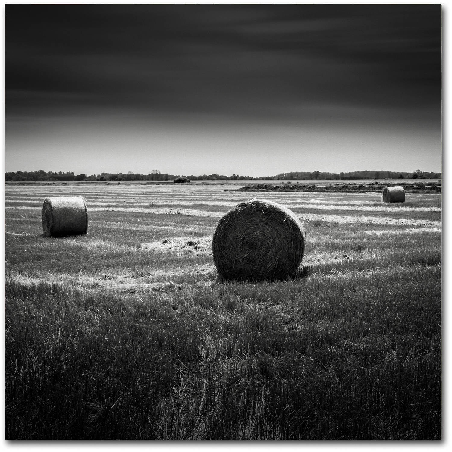 Trademark Fine Art "Rural" Canvas Art by Dave MacVicar