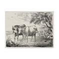 thumbnail image 1 of Trademark Fine Art 'Rural Charms II' Canvas Art by Unknown, 1 of 1