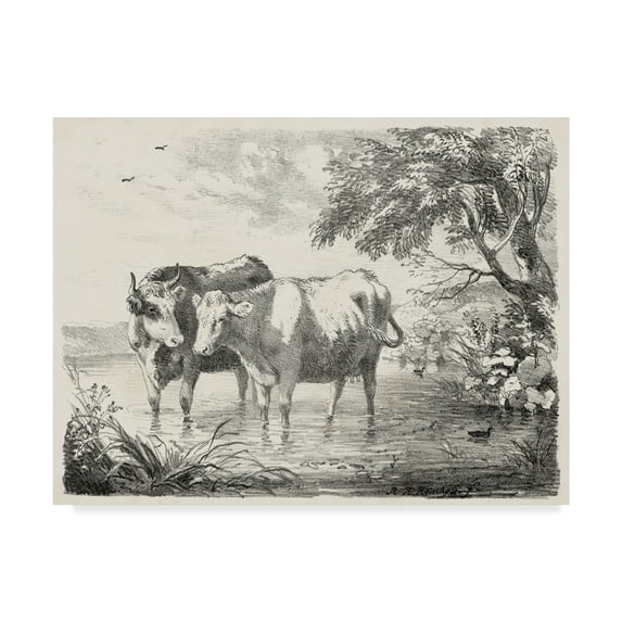 Trademark Fine Art 'Rural Charms II' Canvas Art by Unknown