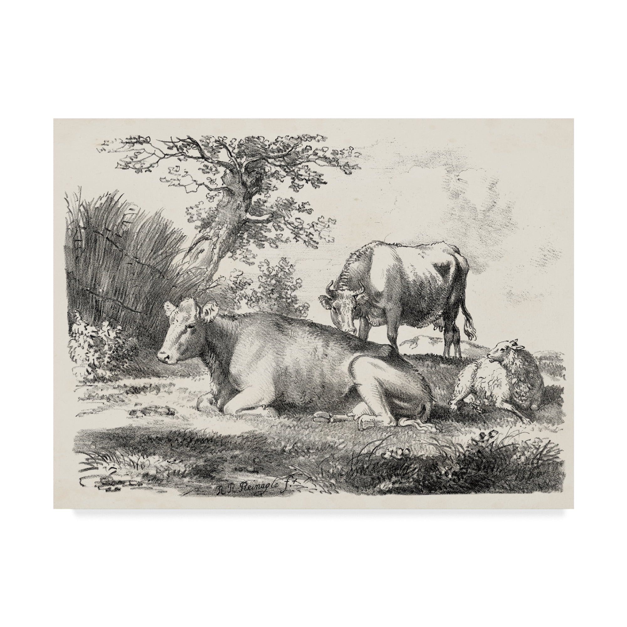 Trademark Fine Art 'Rural Charms IV' Canvas Art by Unknown