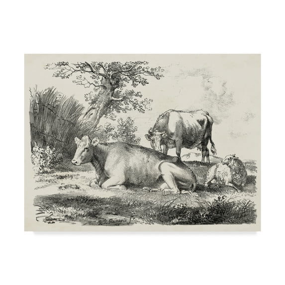 Trademark Fine Art 'Rural Charms IV' Canvas Art by Unknown