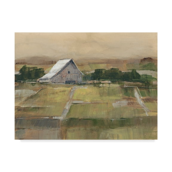 Trademark Fine Art 'Rural Sunset II' Canvas Art by Ethan Harper