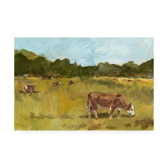 Trademark Fine Art 'Rural View I' Canvas Art by Ethan Harper