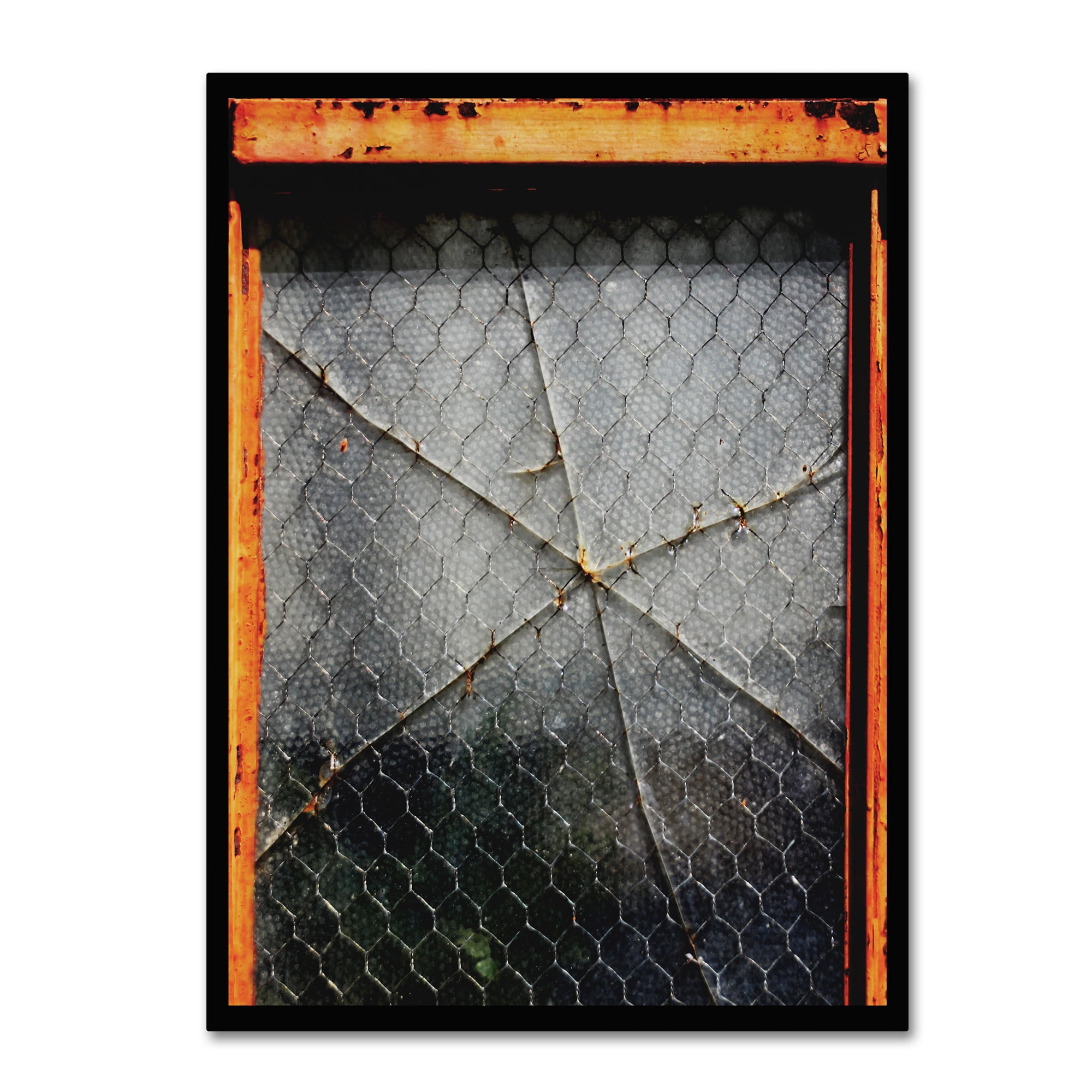 Trademark Fine Art 'Rust & Broken Glass' Canvas Art by Patty Tuggle