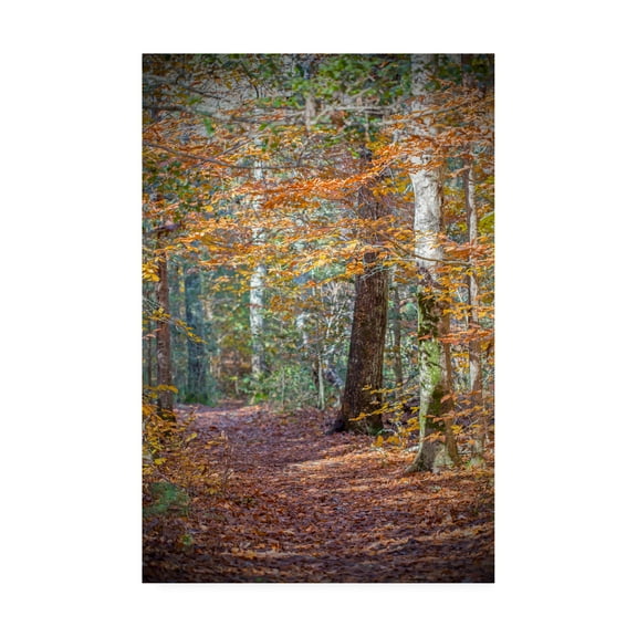 Trademark Fine Art 'Rust Fall Forest' Canvas Art by Brooke T. Ryan