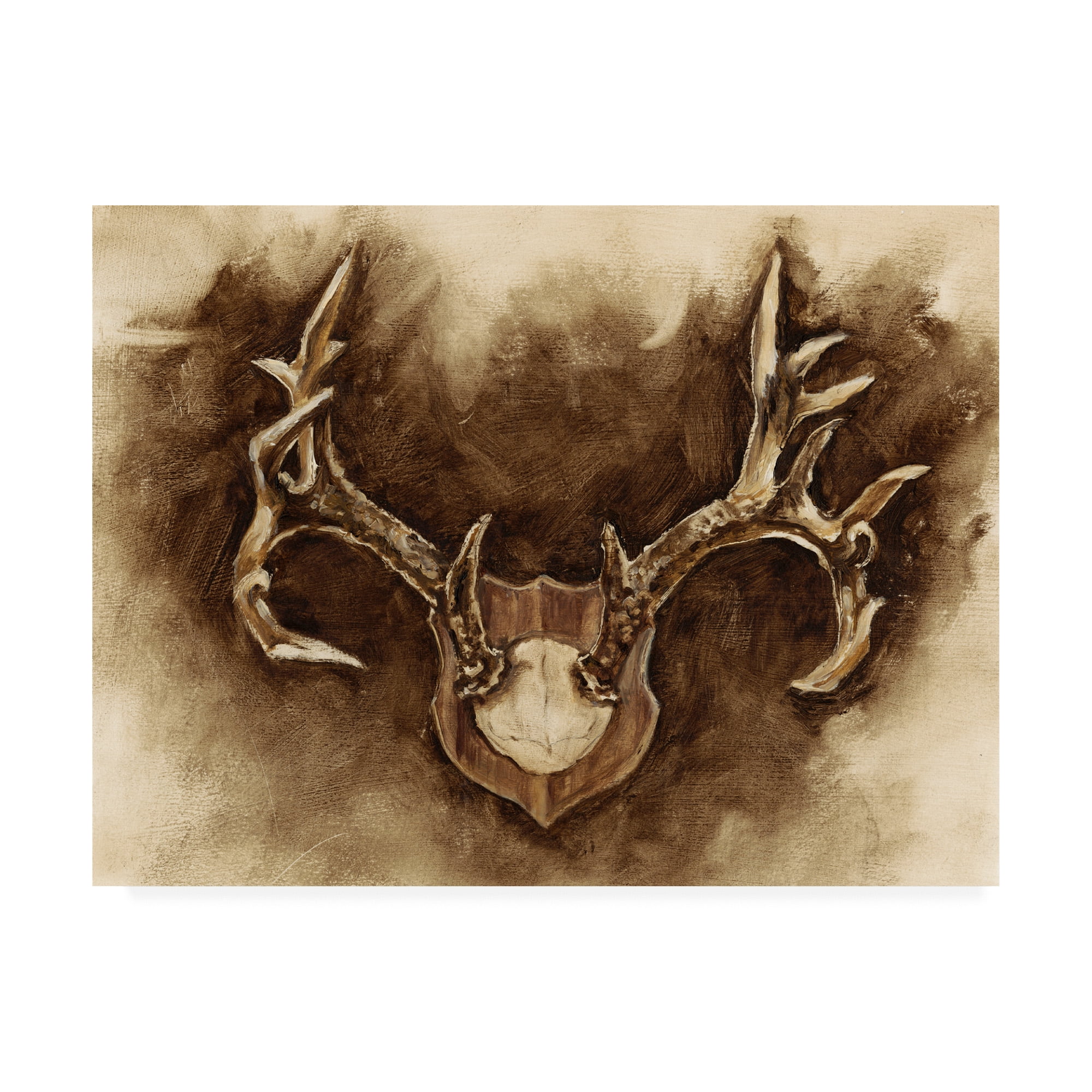 Rustic Brown and Beige Antler Canvas Art, 18 x 24