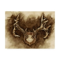 Trademark Fine Art 'Rustic Antler Mount I' Canvas Art by Ethan Harper
