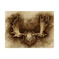 thumbnail image 1 of Trademark Fine Art 'Rustic Antler Mount II' Canvas Art by Ethan Harper, 1 of 4
