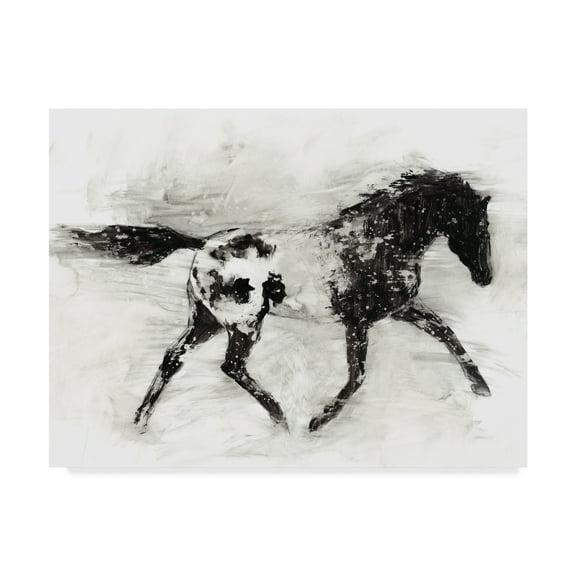 Trademark Fine Art 'Rustic Appaloosa I' Canvas Art by Ethan Harper
