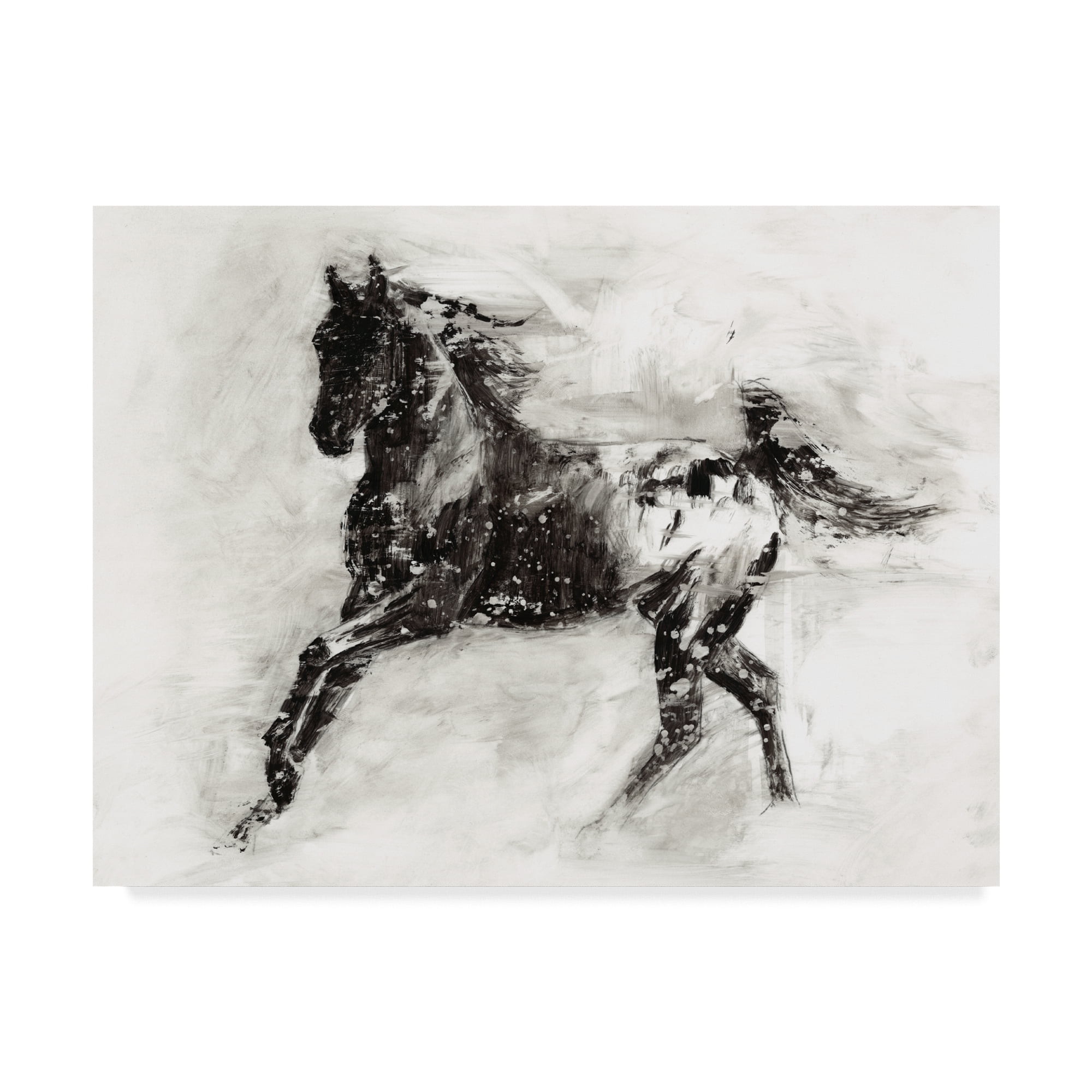 Black and White Abstract Horse Canvas Print, 19" x 14"