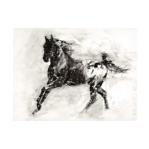Trademark Fine Art Ethan Harper Rustic Appaloosa Ii Canvas Wall Art - 18x24