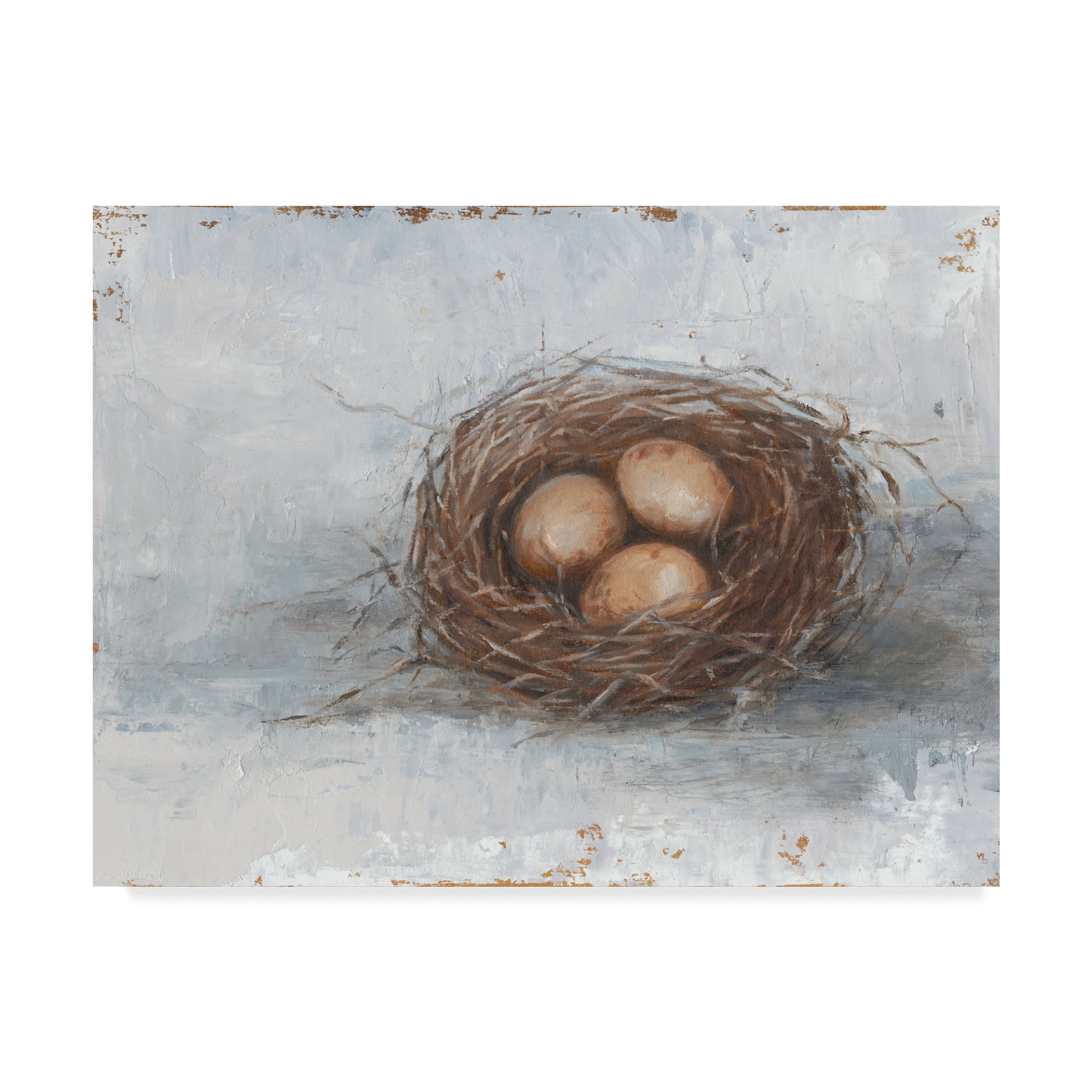 Trademark Fine Art 'Rustic Bird Nest II' Canvas Art by Ethan Harper