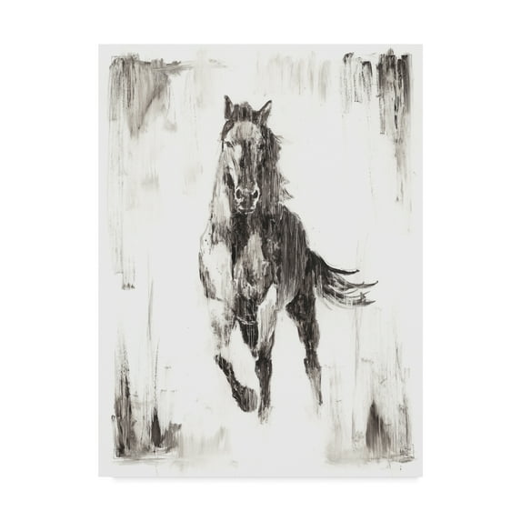 Trademark Fine Art 'Rustic Black Stallion II' Canvas Art by Ethan Harper