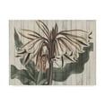 thumbnail image 1 of Trademark Fine Art 'Rustic Floral III' Canvas Art by Studio W, 1 of 4
