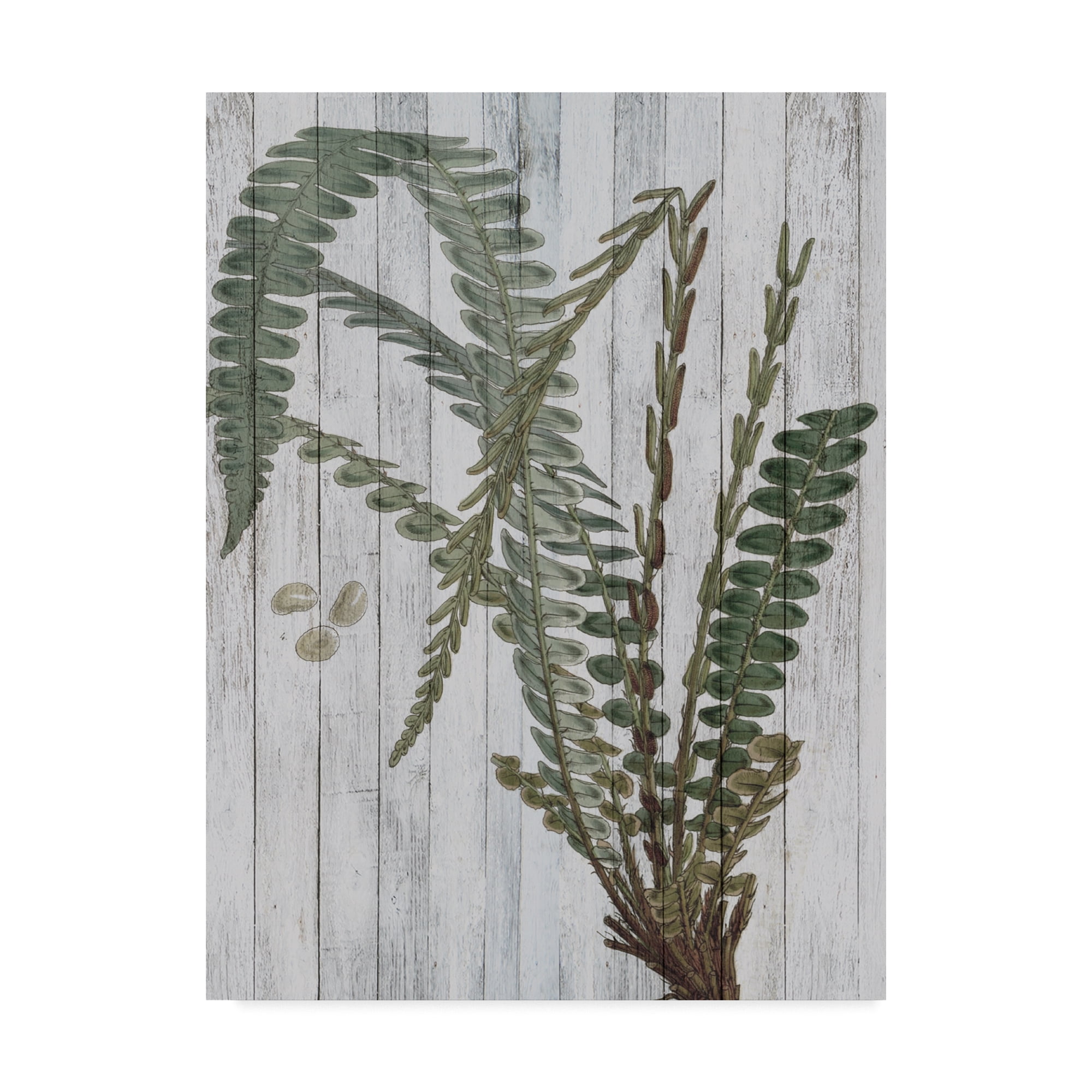 Trademark Fine Art 'Rustic Greenery IV' Canvas Art by Studio W